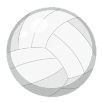 Imagen representativa de Voleibol
